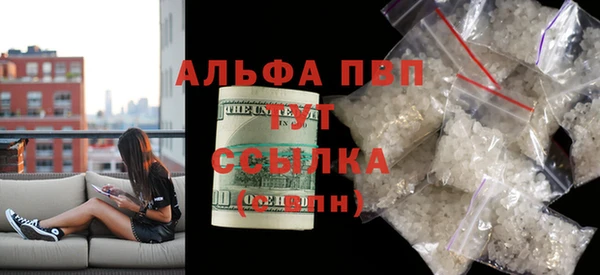 мяу мяу мука Абаза