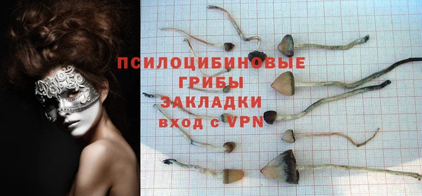 мяу мяу мука Абаза