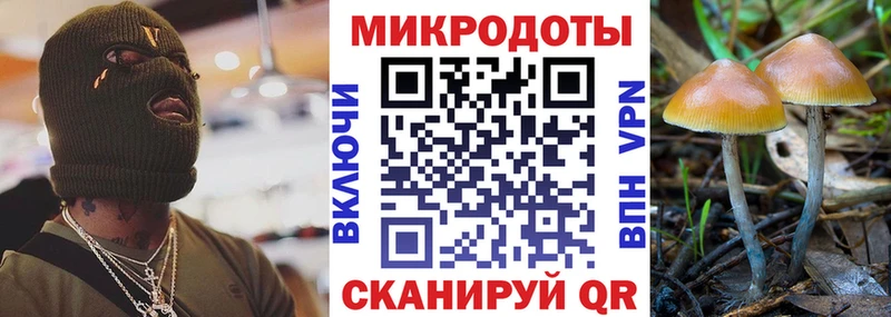 Псилоцибиновые грибы мухоморы  ссылка на мегу как зайти  Яровое 