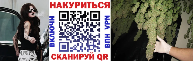 дарнет шоп  Яровое  Бошки марихуана индика 